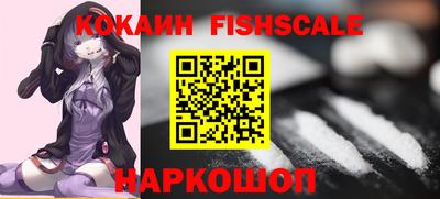 гашик Берёзовский