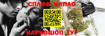 гашик Берёзовский