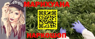 гашик Берёзовский