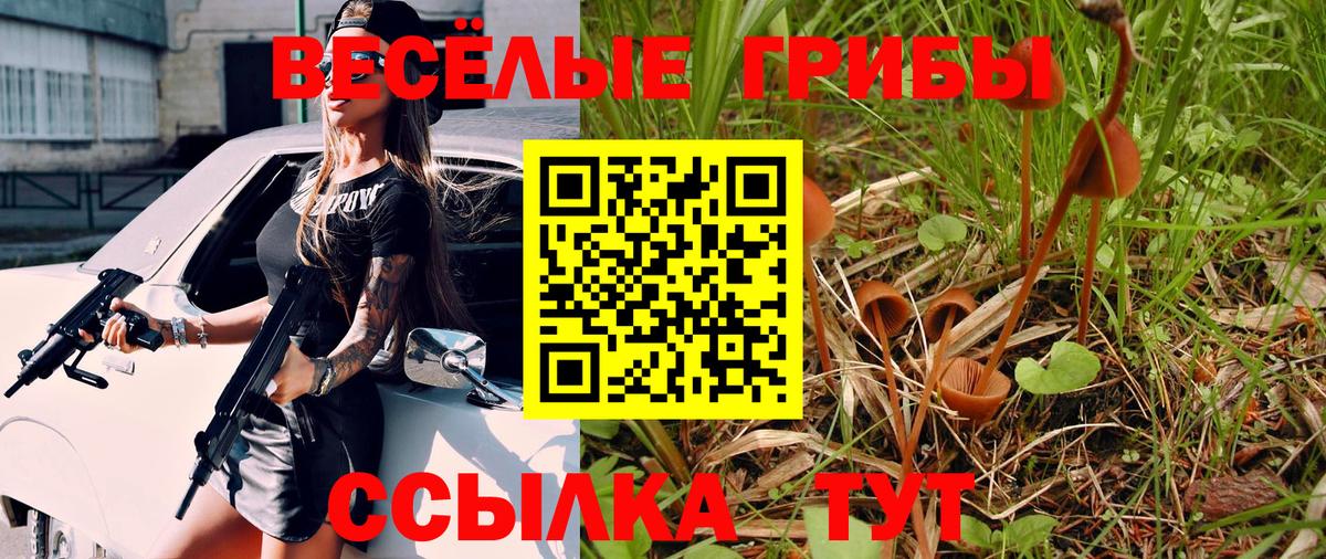 Псилоцибиновые грибы мицелий Избербаш