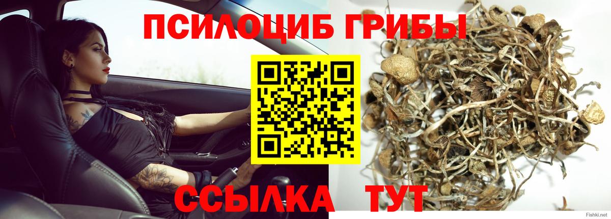 Псилоцибиновые грибы Magic Shrooms  Вход с VPN  Избербаш 